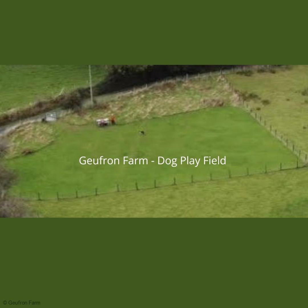 Farmhouse & Cottage At Geufron Farm - Dog Friendly Bryn-crug Kültér fotó