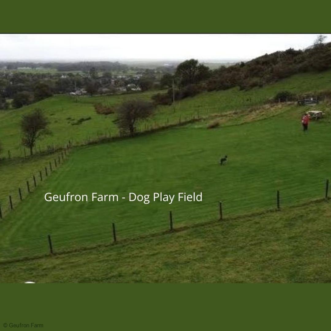 Farmhouse & Cottage At Geufron Farm - Dog Friendly Bryn-crug Kültér fotó